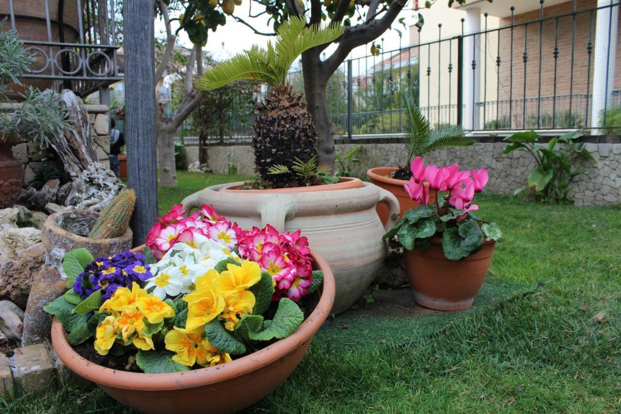 B&B Villa Lilla San Benedetto del Tronto Luaran gambar